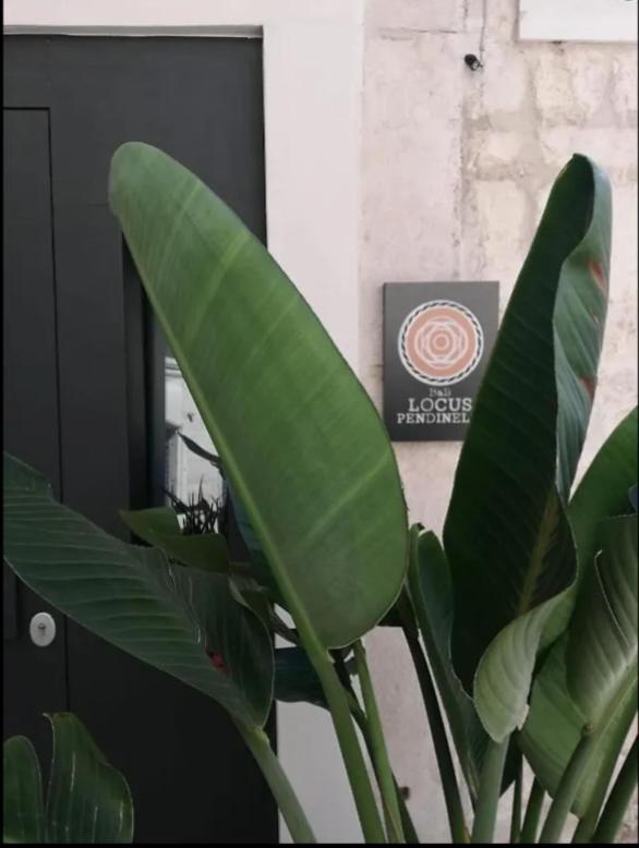 Locus Pendinelli Trani Bed & Breakfast Exterior photo